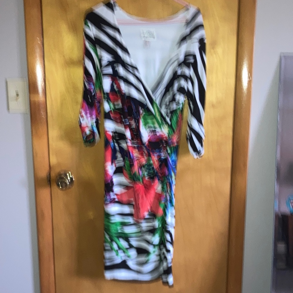 Vibrant Multicolor Dress with Zebra Print